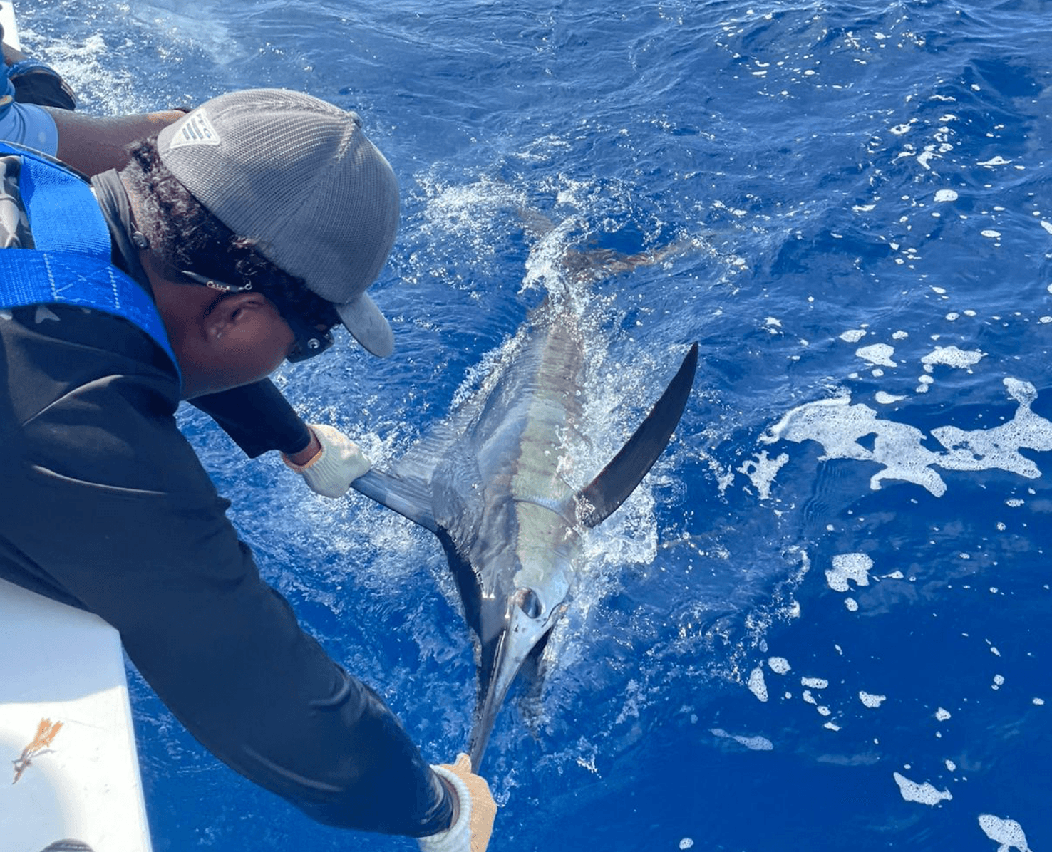 Angler releasing a blue marlin from boat into deep ocean water.