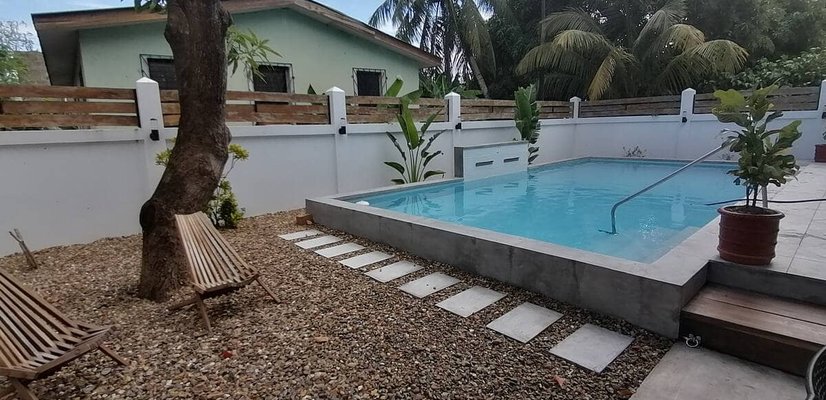 Tropical backyard with raised swimming pool, stepping stones, and palm trees.